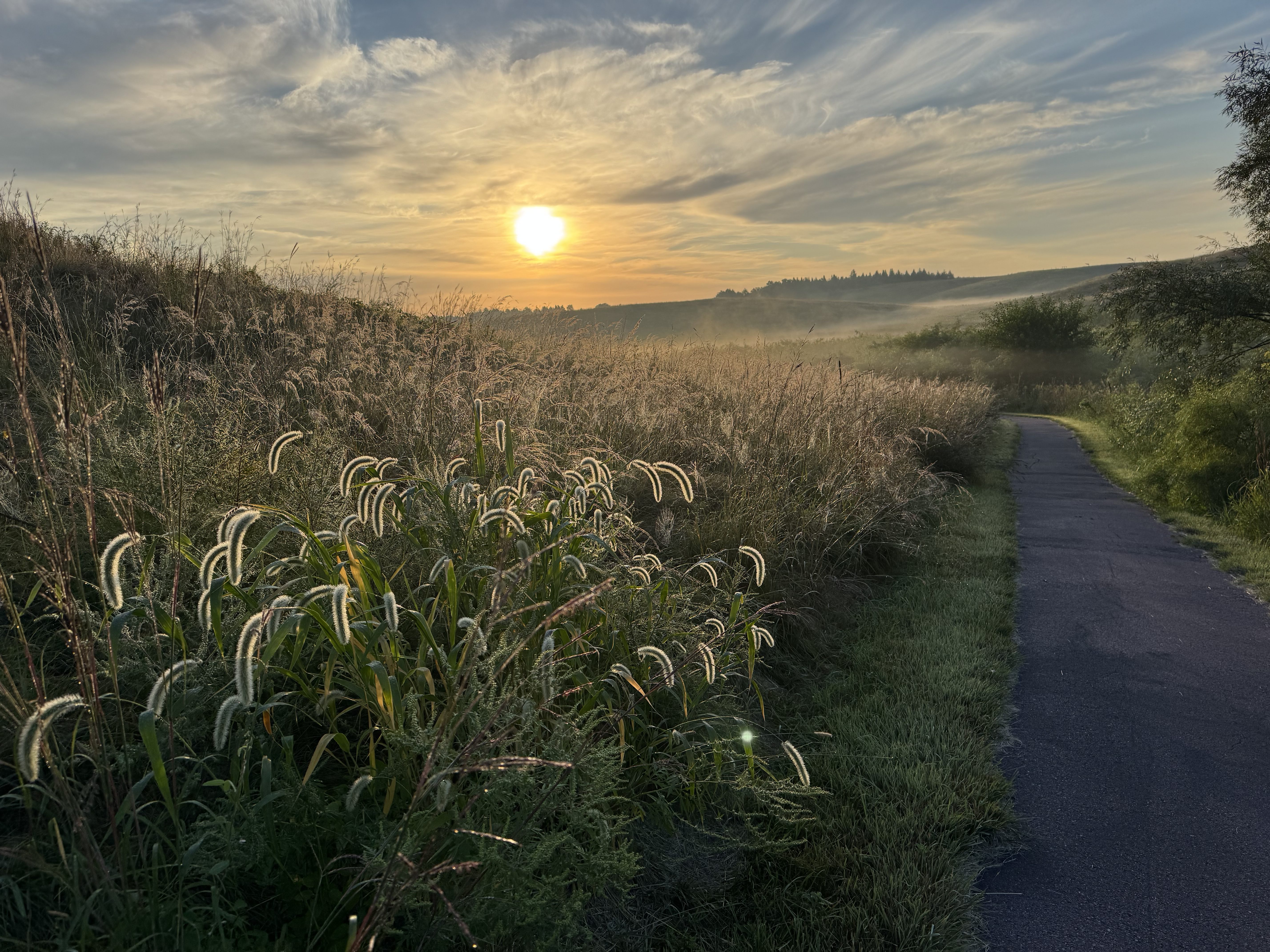 Video of Sunrise at Wolf Lake Park